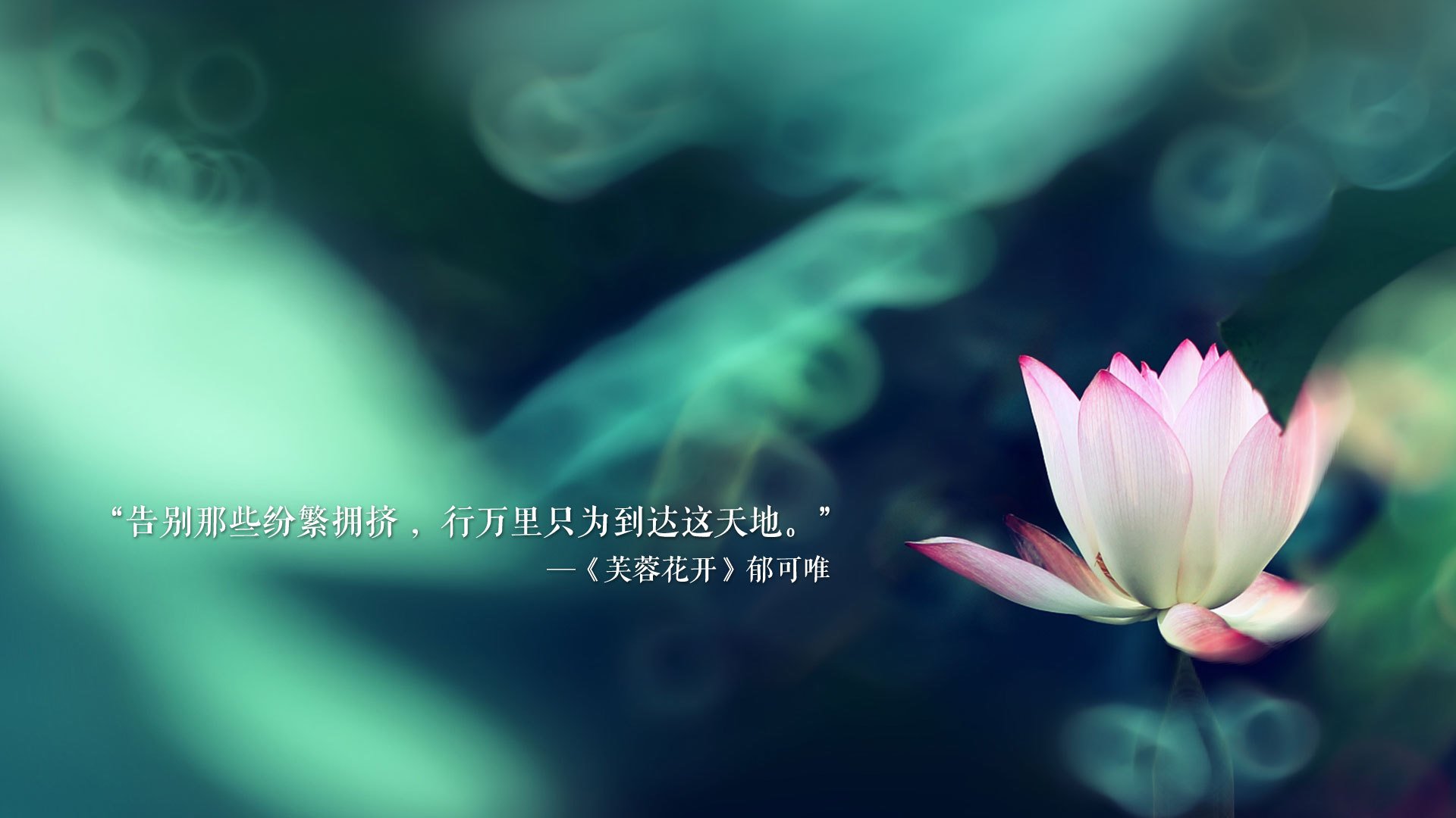 青少年“篮球模拟赛”在杭州引爆青训热潮，杭州青少年篮球培训提供篮球培训服务