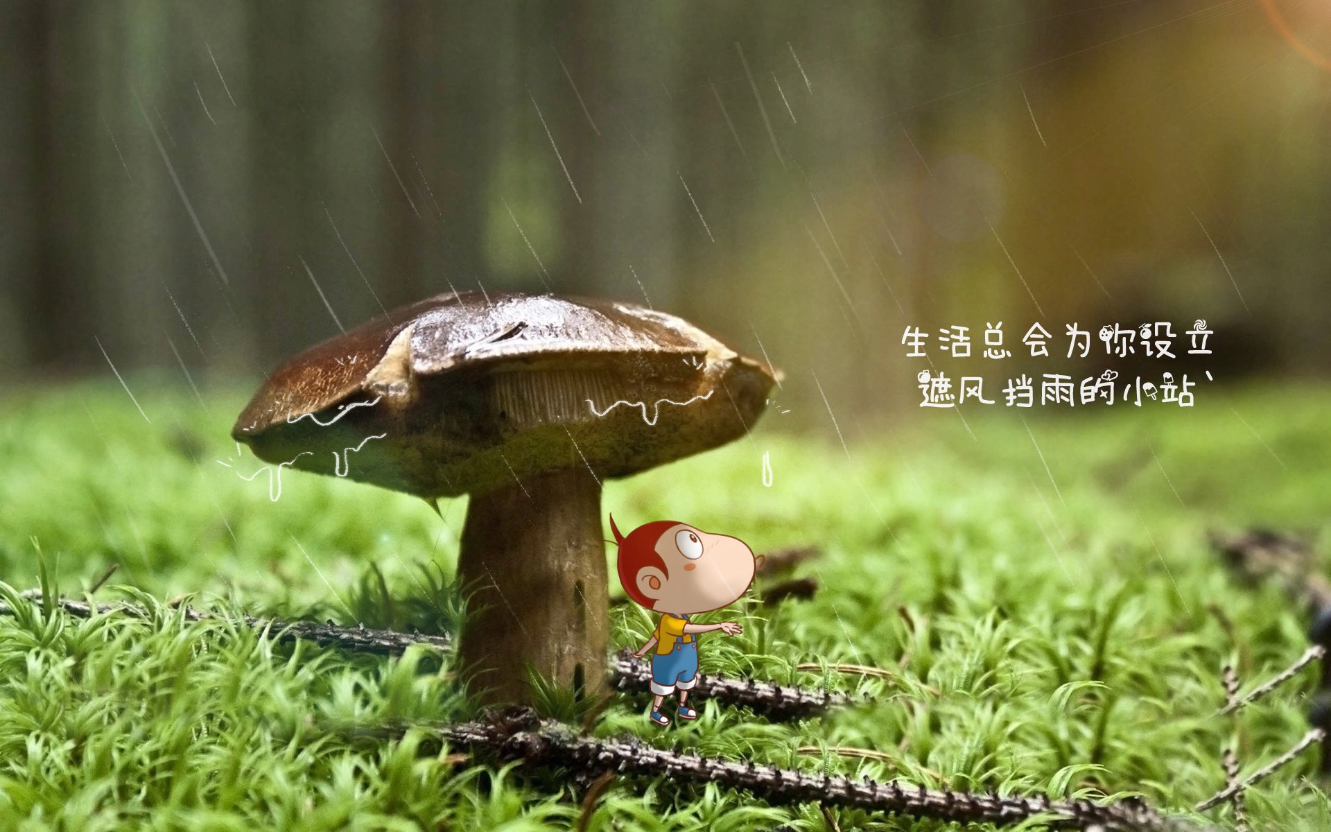 中国足球品牌形象塑造难点，中国足球十大制造品牌