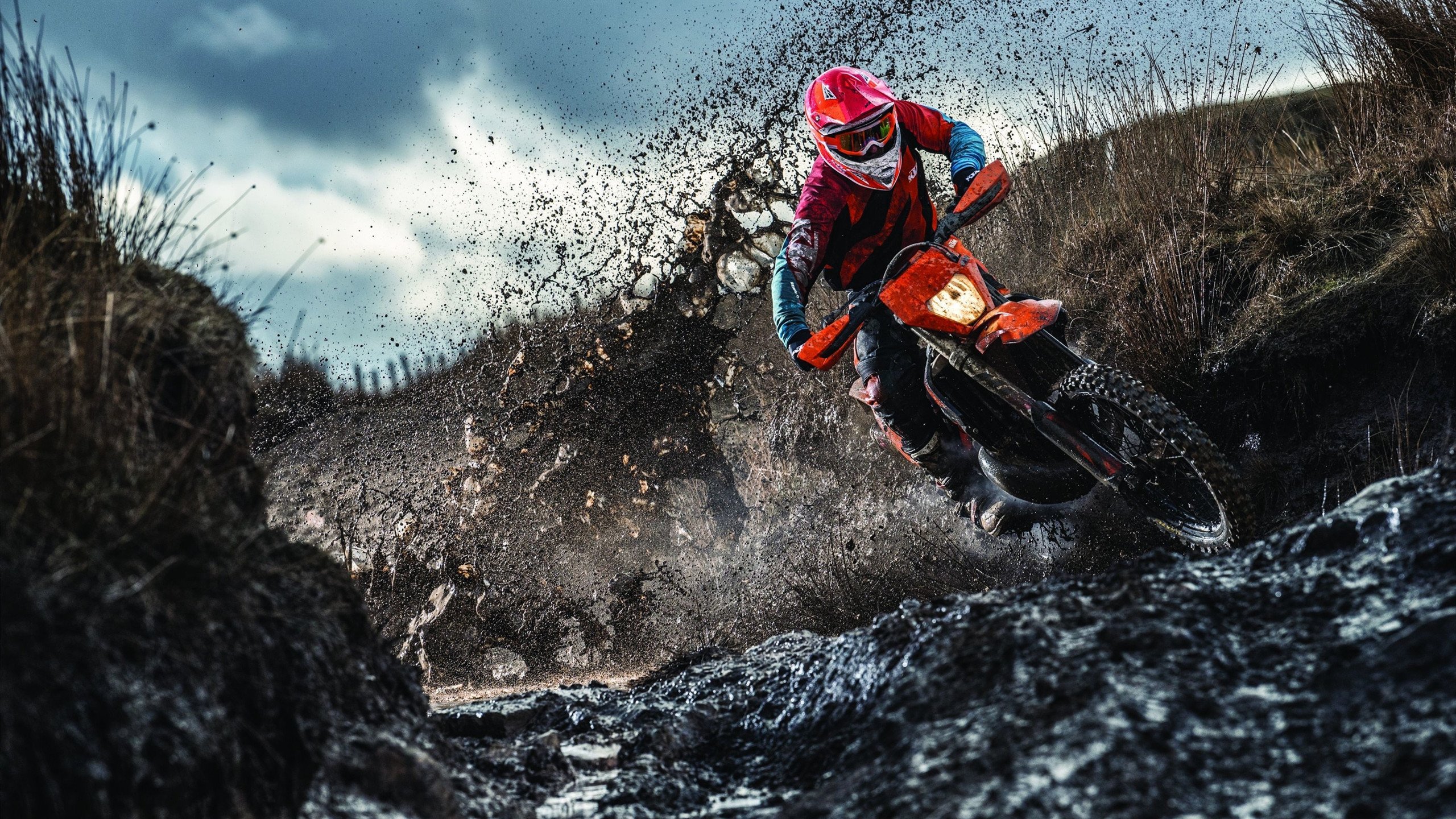 德国骑手拉里萨·保利斯在2024年巴黎奥运会盛装舞步比赛中以“Luna”马匹获得第七名，展现出色表现。